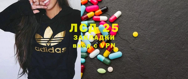 гашик Верея