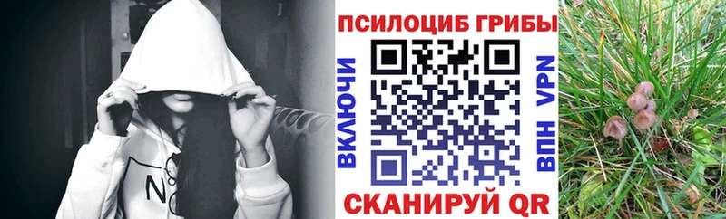 Псилоцибиновые грибы GOLDEN TEACHER  Кирс 